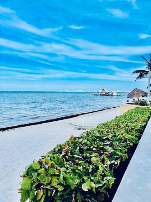 Punta Me Apartment Beach Front In The Hotel & Waterpark Κανκούν Εξωτερικό φωτογραφία