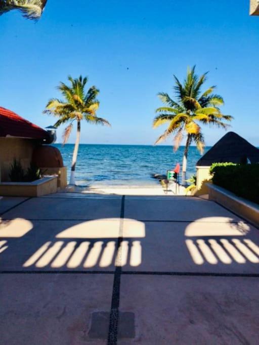 Punta Me Apartment Beach Front In The Hotel & Waterpark Κανκούν Εξωτερικό φωτογραφία